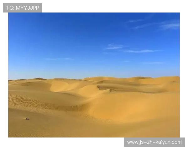 跨越地形：山地、平原、沙漠的极限挑战全解读，沙漠挑战赛