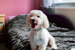 开云体育官网下载-国际乒联积分系统更新，影响各国选手排名，国际乒联积分规则 变化