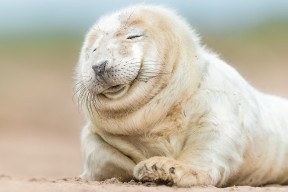 开云体育app在线-中国女篮保持高强度训练 保持竞技巅峰，中国女篮好强